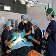 Centre for Chest Surgery & Lung Transplantation
